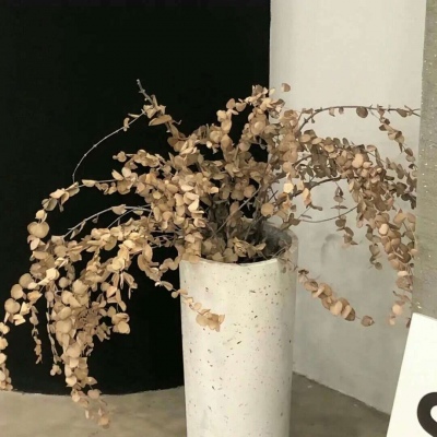 黄陂FurryQQ群介绍